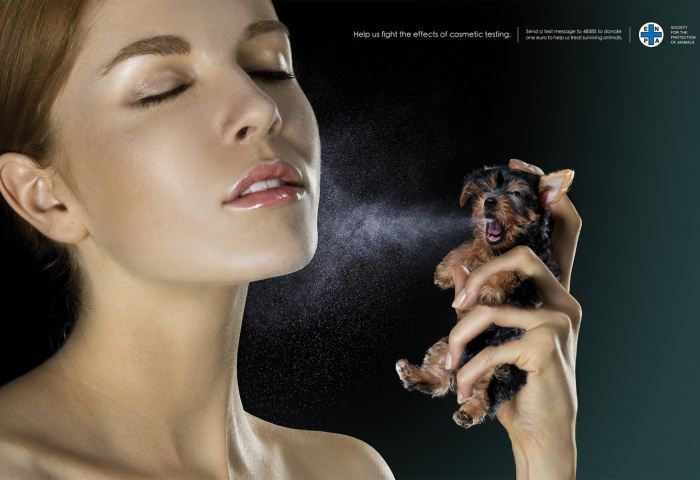 欧盟全面禁止化妆品动物测试