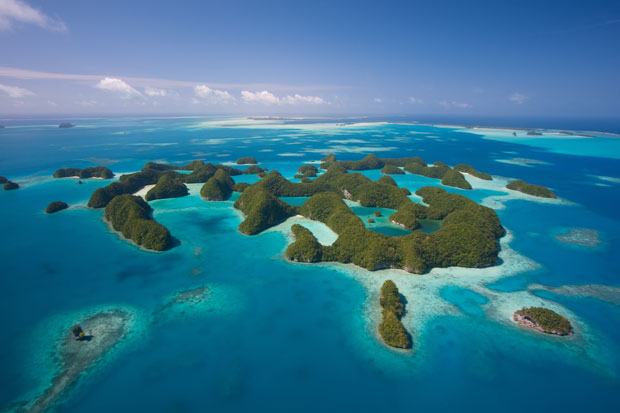 帕劳海洋庇护区，旅游环保业也众筹？！