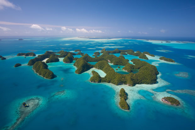 帕劳海洋庇护区，旅游环保业也众筹？！