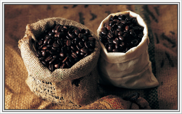 云南小粒咖啡大受国际市场欢迎 中国跃居咖啡主要产地