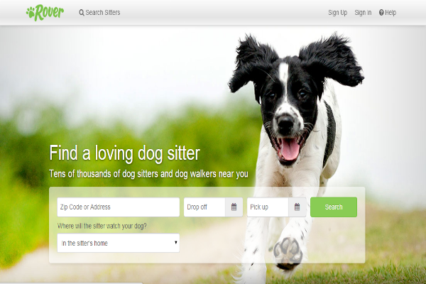 两家宠物O2O创业公司先后获得融资 狗狗的“Airbnb”