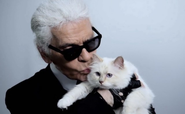 Karl Lagerfeld 爱猫引领宠物代言人热潮
