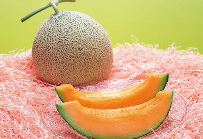 日本夕张甜瓜以 150万日元天价成交