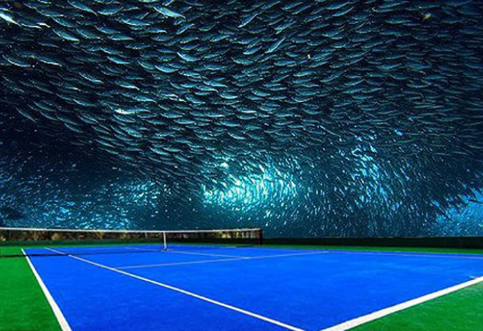 想像无边际！为迪拜造一座海底网球场