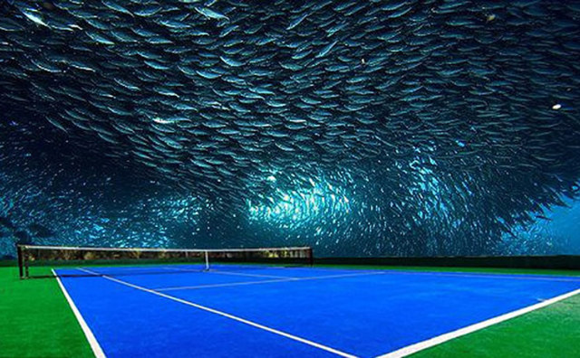 想像无边际！为迪拜造一座海底网球场