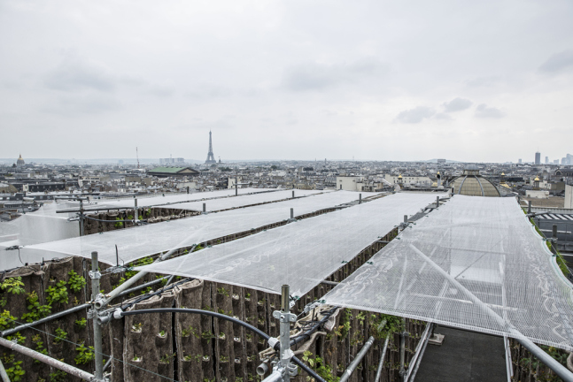 老佛爷百货打造空中花园，引领巴黎都市农业新风潮