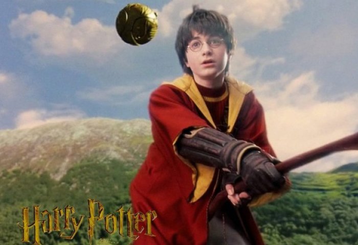 首届欧洲魁地奇大赛英国落败,法国夺冠