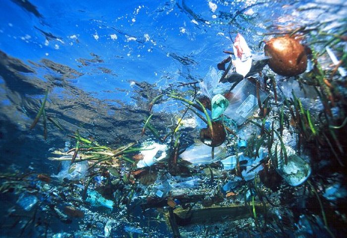这个大坝或许将改变海洋的命运，为清洁塑料垃圾提供最终解决方案！