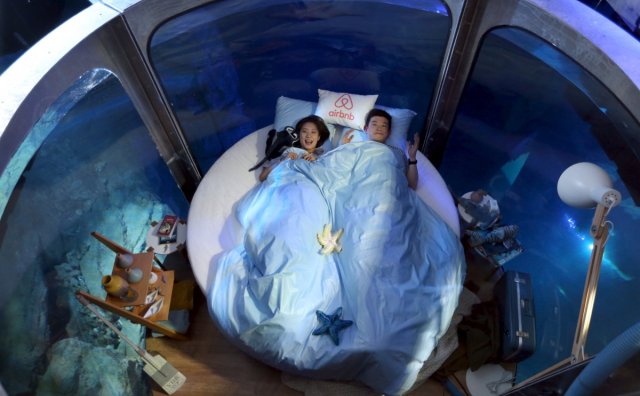 中国情侣入住 Airbnb 水底客房，与 35只鲨鱼共度良宵！