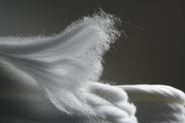 让时尚不再为地球增添负担！《华丽志》盘点全球十大新兴环保面料