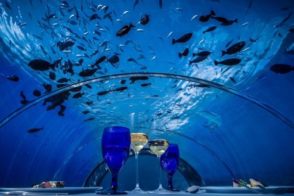 全球最大水下餐厅落户马尔代夫五星级度假村，可容纳 16人