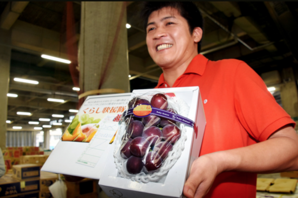 日本拍出史上最贵葡萄，每颗2400元人民币，买家将免费派送