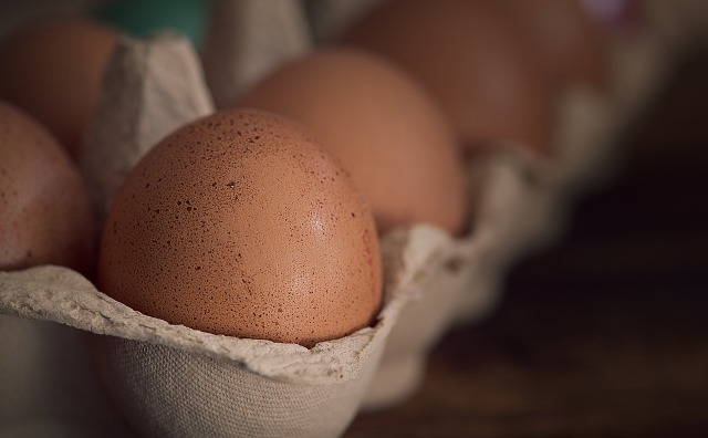 无笼放养鸡蛋日益流行，荷兰无笼鸡舍制造商 Volito 被农产品集团 CTB 收购
