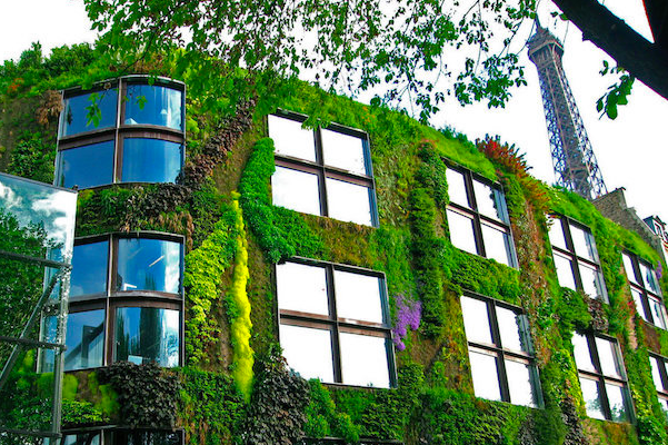 为打造“花园城市”，巴黎政府通过法律鼓励全民参与创意绿化