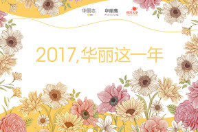 华丽这一年：2017我们办成了这样几件大事......