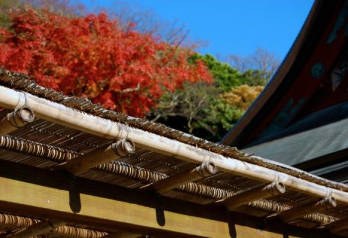 日本入境游市场年均增长33%，麦肯锡最新报告分析日本旅游业发展的三大挑战和五大对策