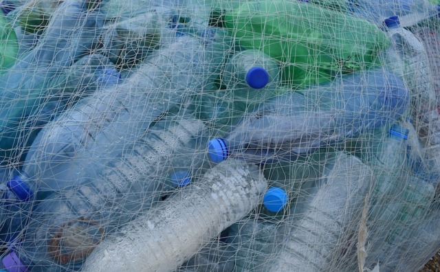 英国老牌高端百货 Selfridges 宣布禁止销售一次性塑料瓶装碳酸饮料