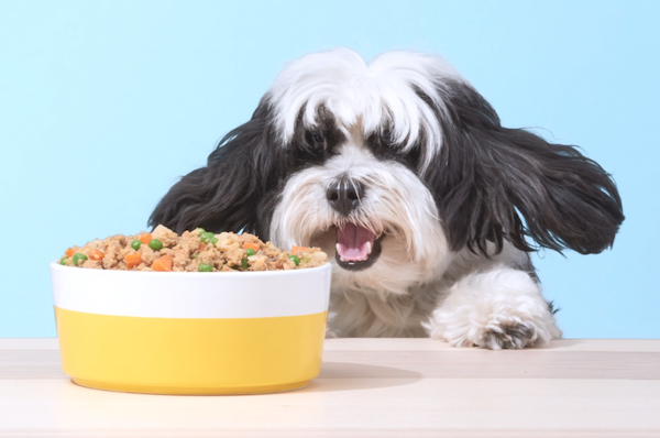 专卖符合人类食用标准的宠物食品：PetPlate 完成400万美元种子轮融资