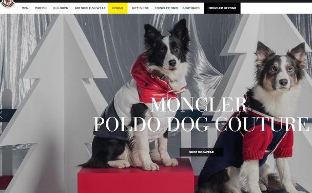 Moncler 与高级宠物服装品牌 Poldo Dog Couture 再度携手，为狗狗推出冬装胶囊系列