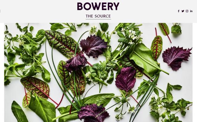 室内农场初创公司Bowery完成9000万美元新一轮融资