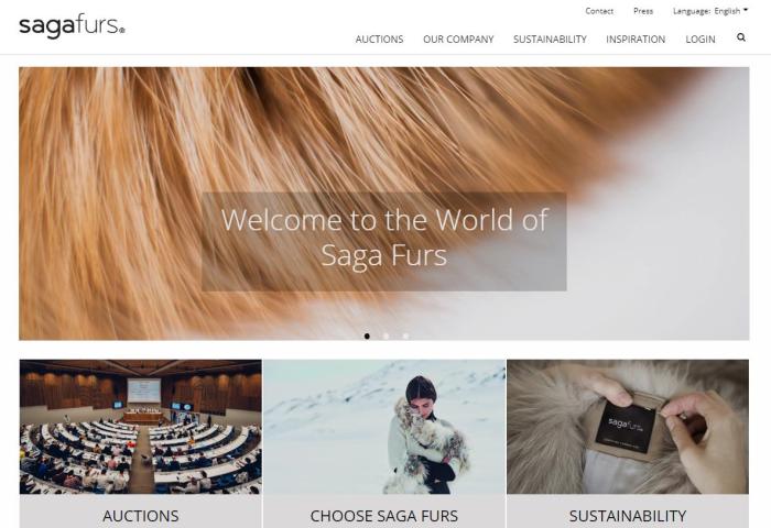 芬兰皮草公司 Saga Furs 上财年销售下滑13%：反皮草阵营日益壮大，中国市场需求放缓