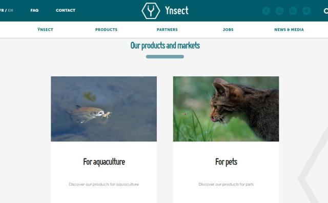 让猫、狗、鱼都能享用优质的昆虫蛋白！Ynsect完成1.25亿美元C轮融资