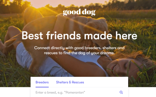 美国专业宠物犬收养平台 Good Dog 正式上线，融资670万美元