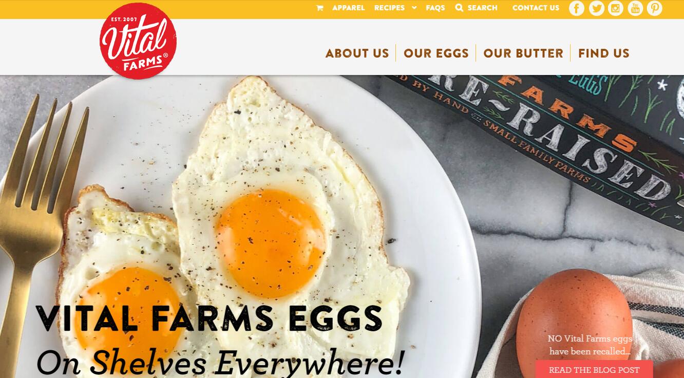 美国“道德”农产品品牌 Vital Farms 获私募基金投资：让每只鸡都有10平米的户外活动空间