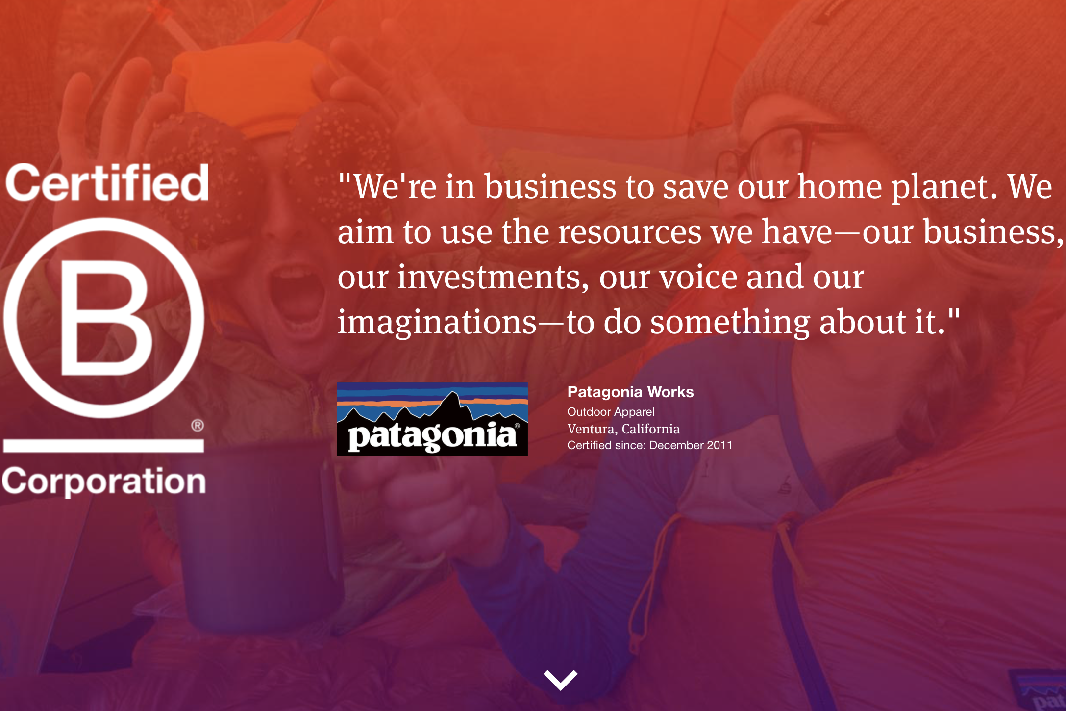 倡导企业向善：Patagonia、Allbirds 等品牌获得的“B Corp”认证究竟是什么？