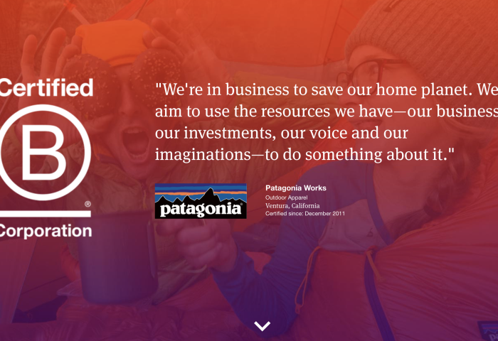 倡导企业向善：Patagonia、Allbirds 等品牌获得的“B Corp”认证究竟是什么？