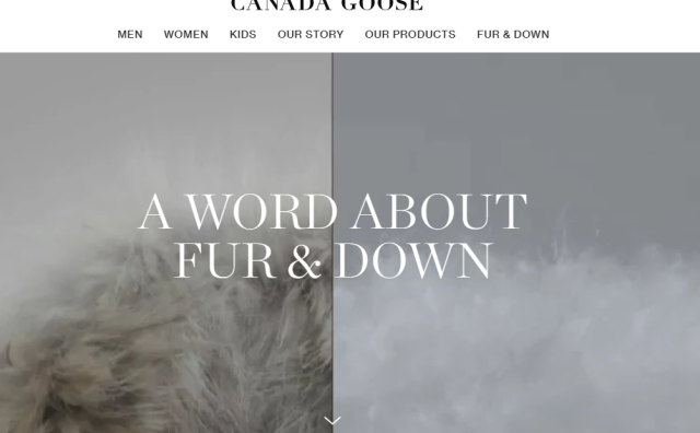 Canada Goose 修改官网关于皮毛来源的视频和信息，引发股价下跌