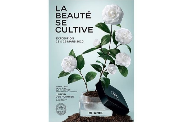 Chanel 将在巴黎举办沉浸式园艺体验展，展示品牌收藏的稀有植物