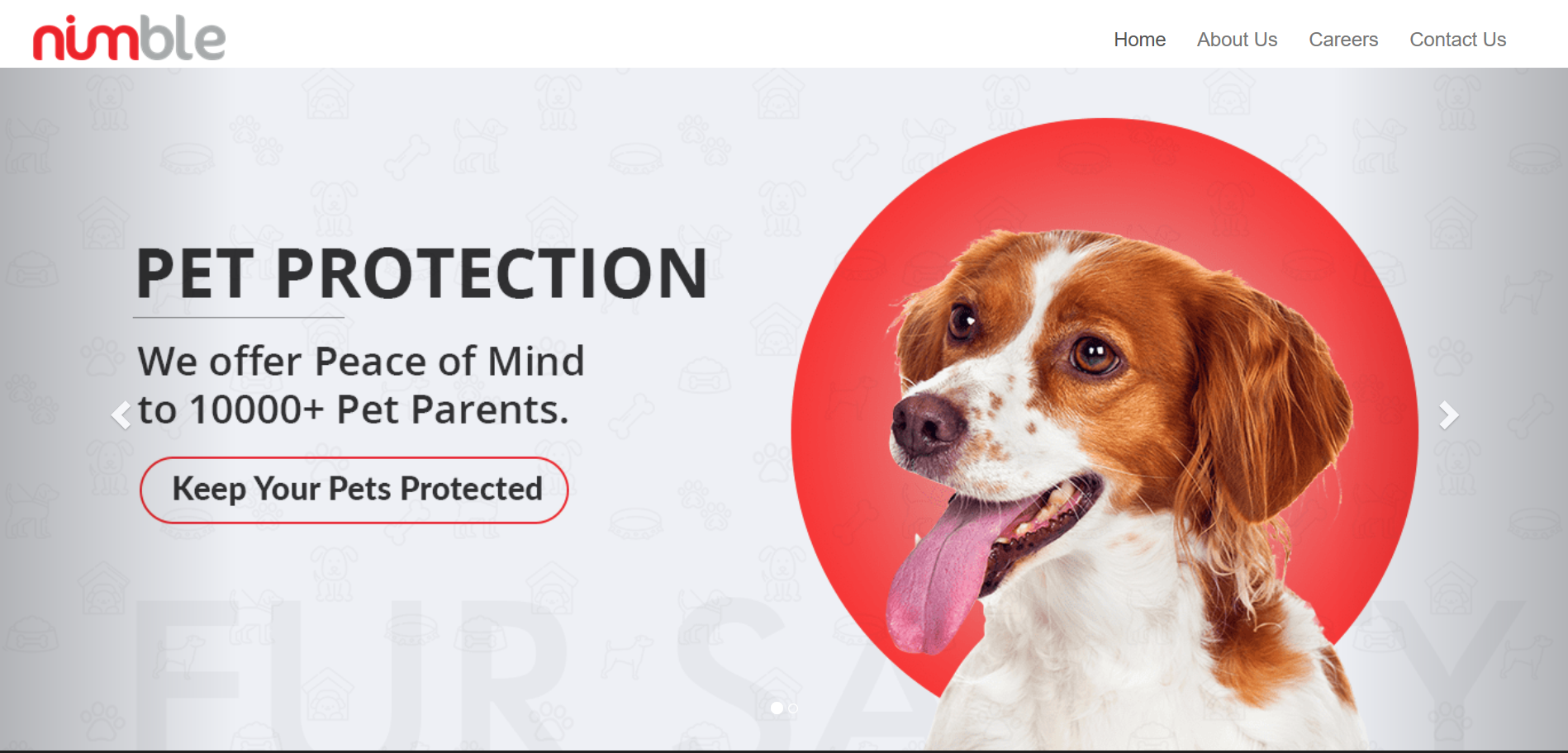 新兴宠物安全物联网公司 Nimble 宣布收购宠物社交平台 Waggle Ventures