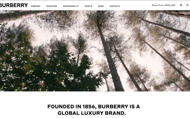 Burberry 为 IBM 实习生项目提供指导，提高时尚产品供应链的可追溯性