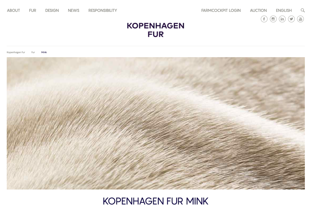 全球最大皮草拍卖行哥本哈根皮草公司将在三年内彻底关闭
