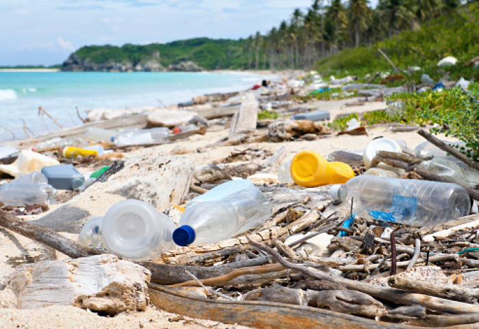 如果“一切照旧”，到2050年海洋中的塑料将比鱼还多！