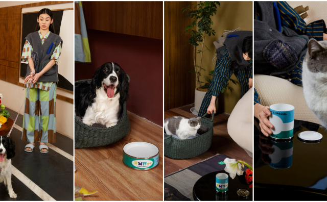 江南布衣旗下 JNBYHOME 联手宠物创业公司 pidan 推出首个宠物生活系列