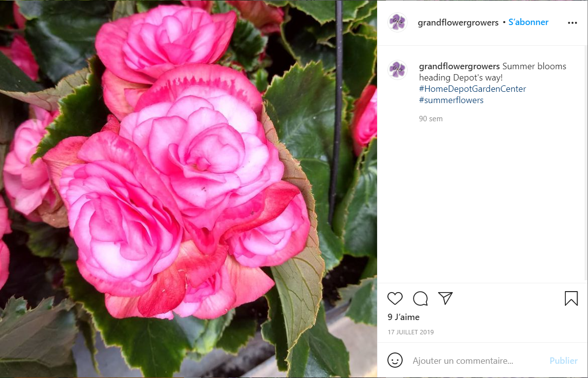 美国花卉供应商 Grand Flower Growers 获2060万美元少数股权投资