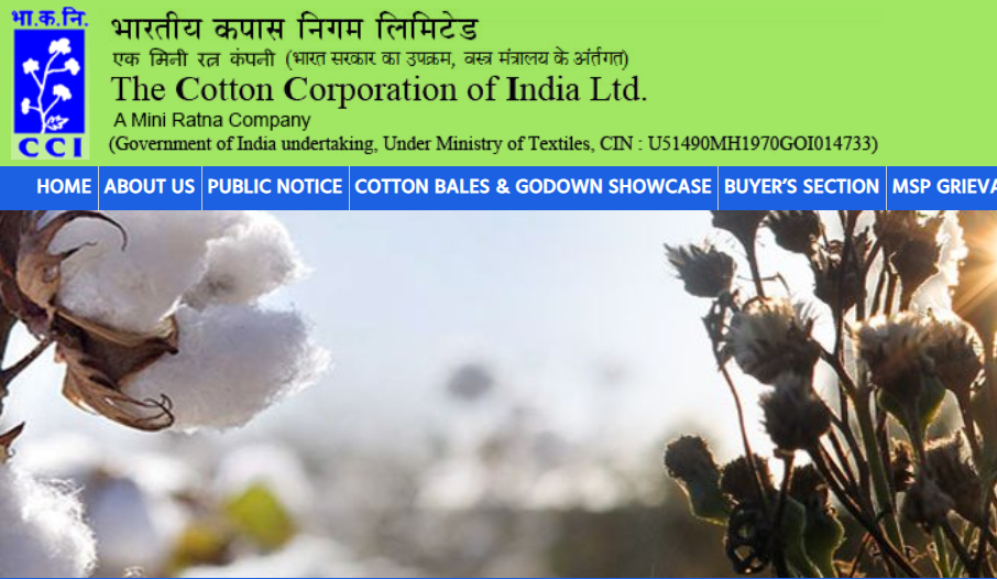 印度本土棉花价格快速上涨，引发各界担忧