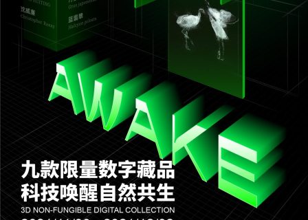 携手九位中国独立设计师，瑞安新天地推出时尚环保主题数字藏品项目