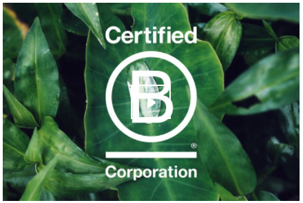Chloé 成为首家获得共益企业（B-Corp）认证的欧洲奢侈品牌