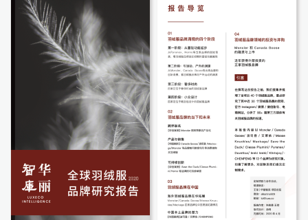 【华丽智库】独家报告：全球羽绒服品牌研究报告（附下载地址，仅限华丽志付费会员）