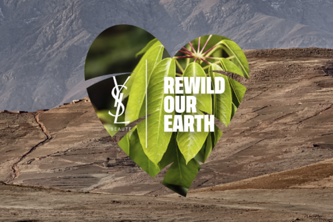 YSL美妆与公益组织 Re:wild发起倡议，保护品牌原料地马拉喀什山谷的生物多样性