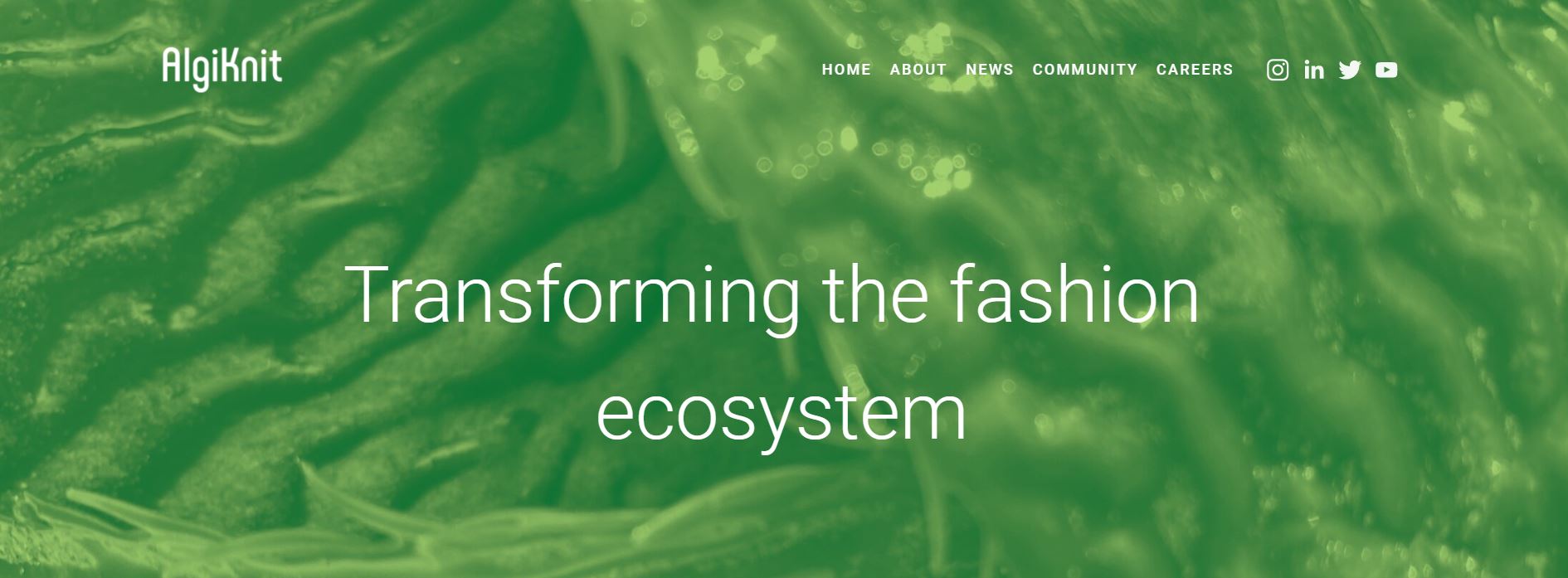 用海藻做纱线的生物材料创业公司 AlgiKnit 完成1300万美元A轮融资