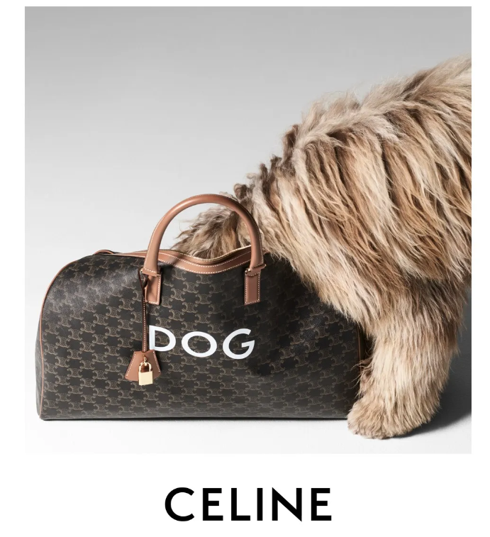 深度|从 Gucci 的猫窝到 Celine 的狗粮碗,奢侈品牌为何纷纷闯入宠物世界? – 华丽志
