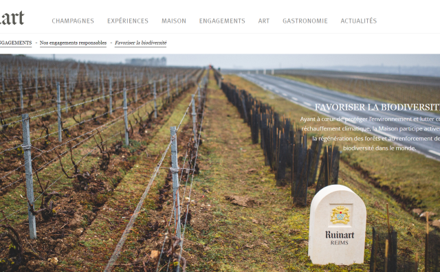 LVMH集团旗下香槟品牌汝纳特将在葡萄种植园开展大地艺术项目