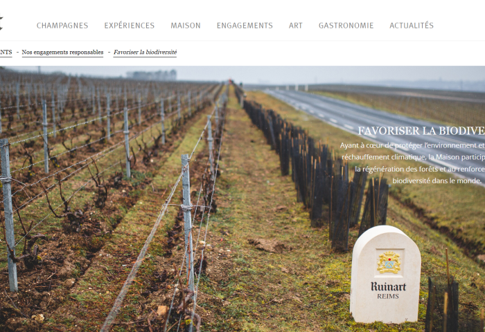 LVMH集团旗下香槟品牌汝纳特将在葡萄种植园开展大地艺术项目