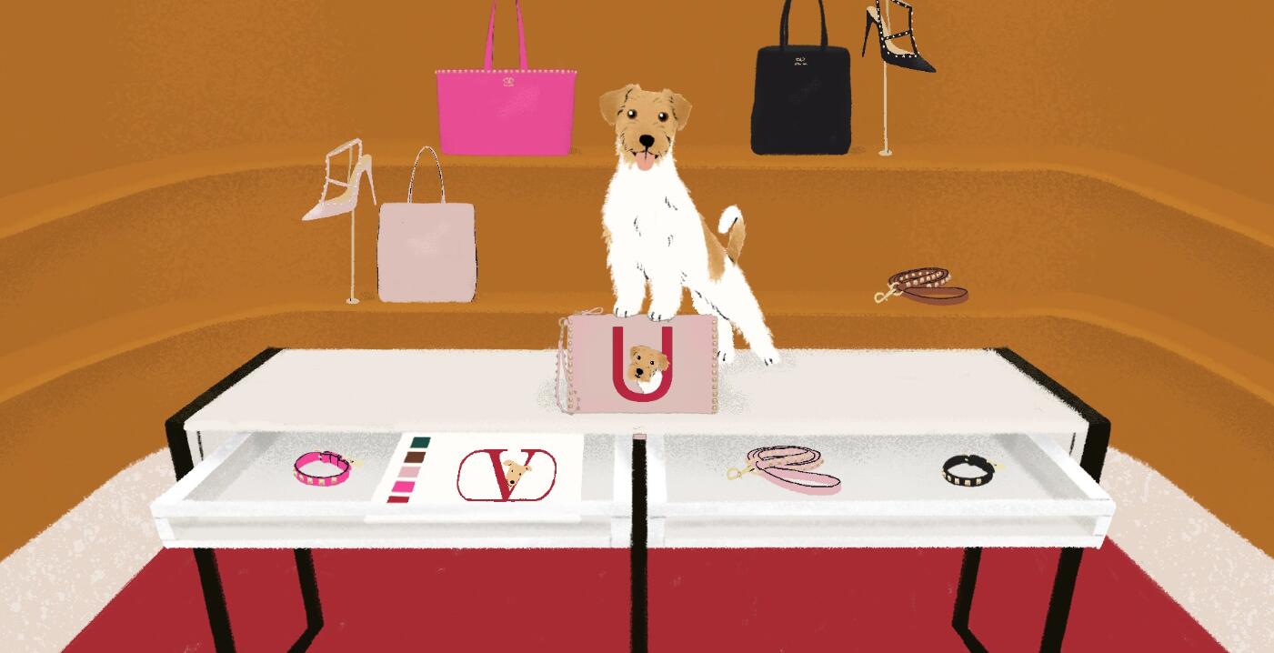 深度|从 Gucci 的猫窝到 Celine 的狗粮碗,奢侈品牌为何纷纷闯入宠物世界? – 华丽志