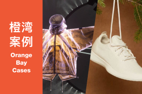 橙湾「运动户外」线上案例课回顾：Stone Island & allbirds - 运动品牌如何在早期建立独特的品牌资产？
