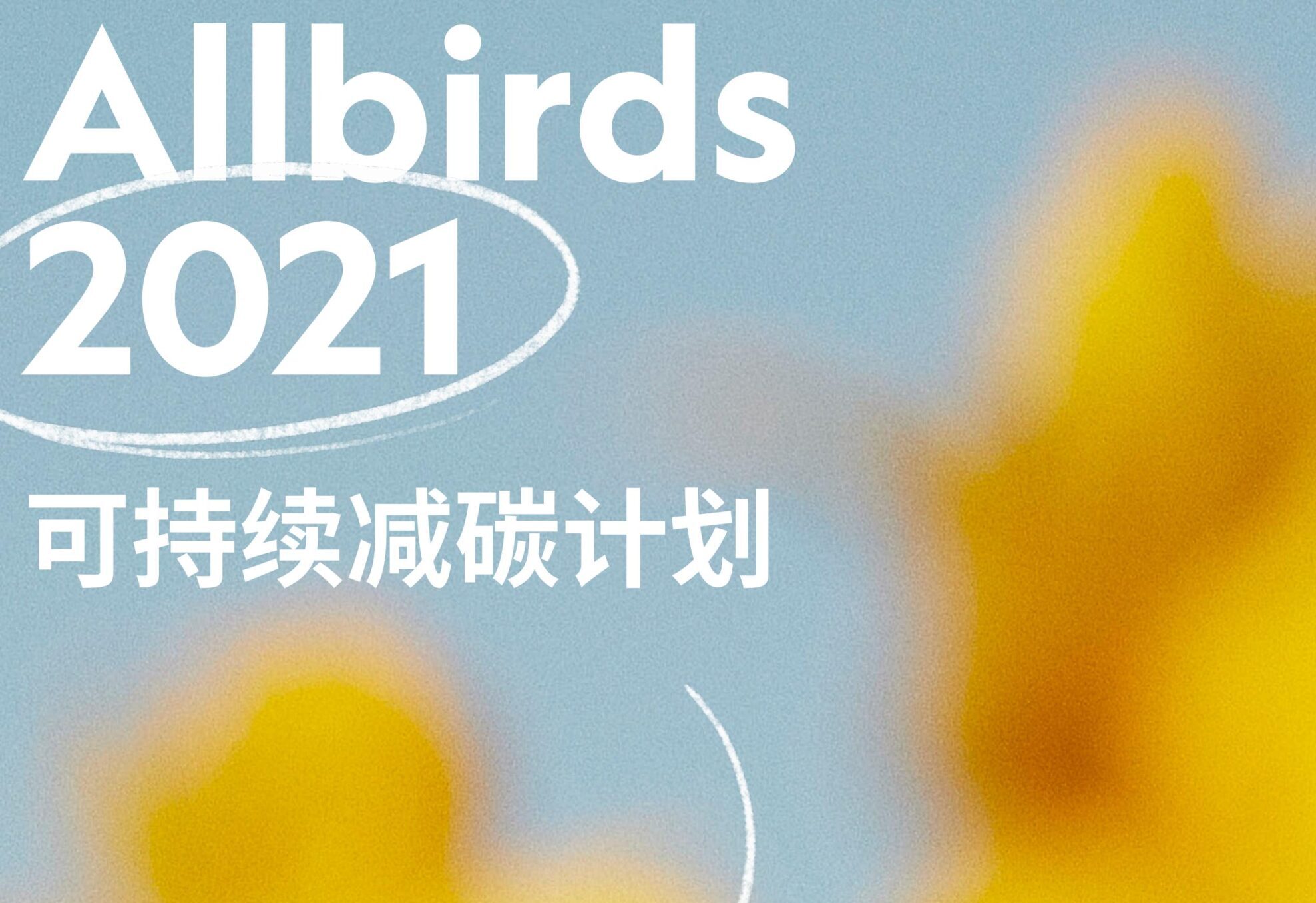 独家专访丨Allbirds 可持续发展负责人为你揭开一双“可持续运动鞋”背后的奥秘